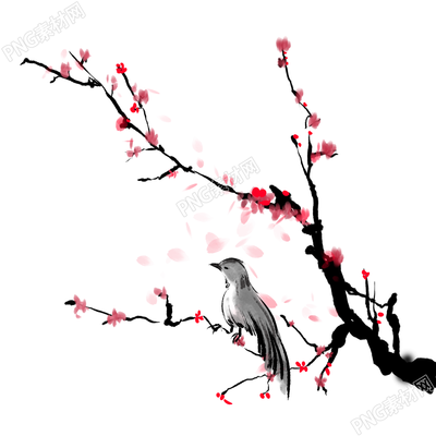 中国风梅花图片免抠png素材