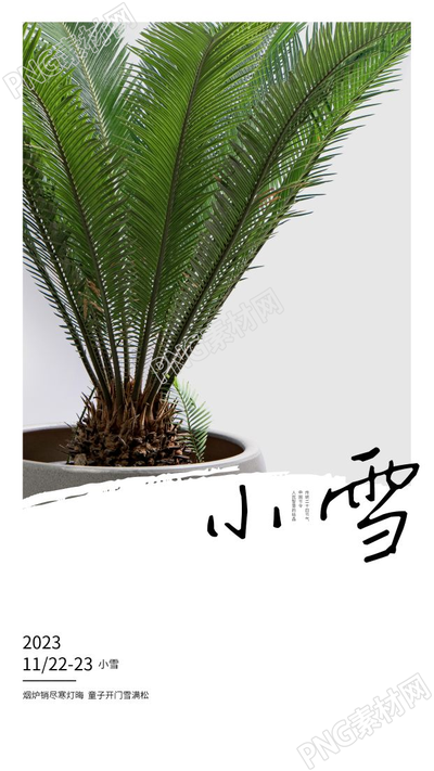 创意简约2023冬季小雪二十四节气手机海报