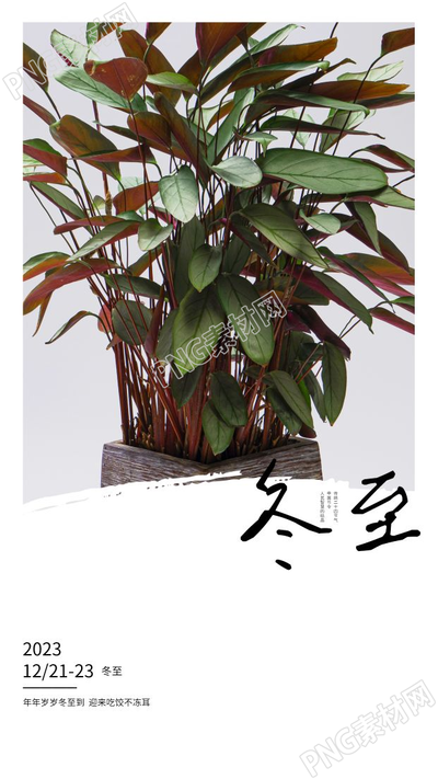 创意简约2023年二十四节气冬季冬至海报
