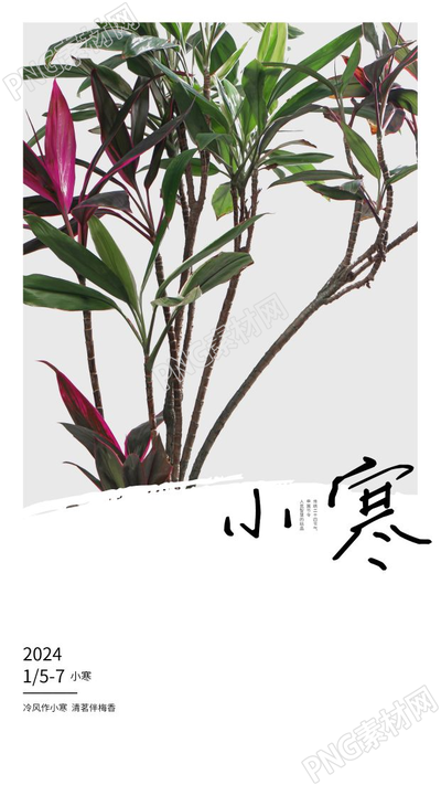 创意简约2023年二十四节气冬季小寒海报