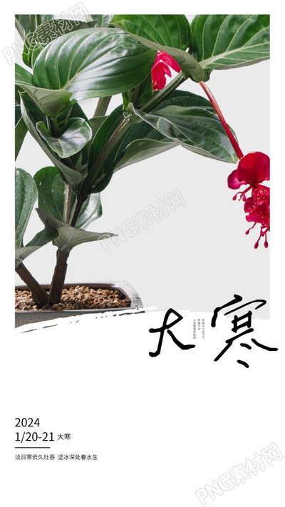 创意2023年二十四节气冬季大寒海报