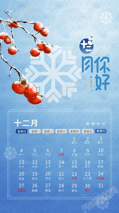 卡通手绘12月日历手机海报