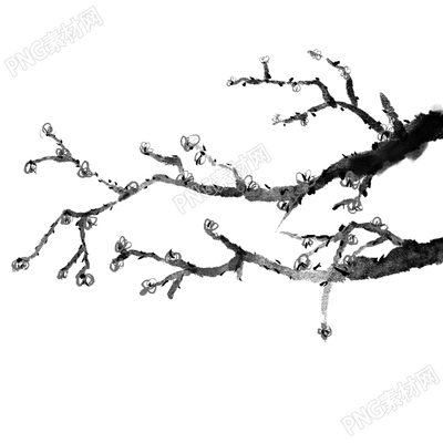 黑白水墨画梅花树枝免抠图片素材