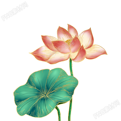 国潮风唯美盛开的荷花插画矢量图片素材