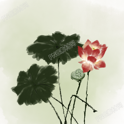 彩色荷花水墨画矢量图片素材