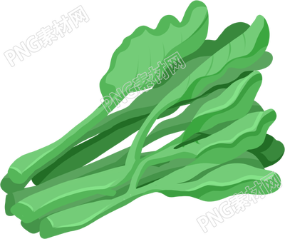 南方蔬菜芥蓝青菜矢量图片素材
