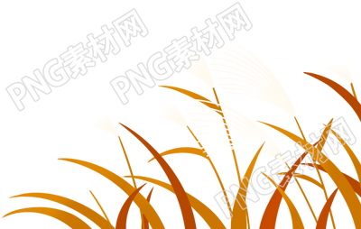 卡通手绘秋季芦苇丛植物矢量图片素材