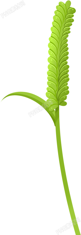 清新植物绿色麦穗卡通手绘免抠素材