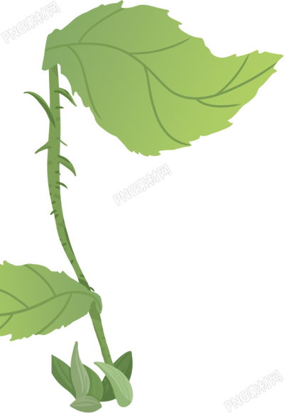 手绘植物叶子图片素材