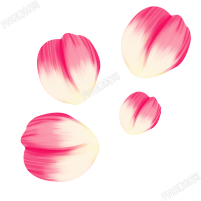 卡通手绘花瓣插画素材