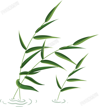 绿色植物水草手绘插画素材