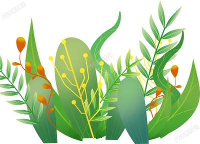 手绘水草植物插画素材