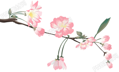 春天浪漫花枝素材