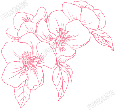 装饰手绘粉色线描花朵素材