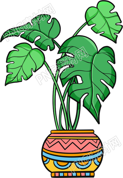 大叶子绿色植物盆栽素材