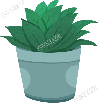 绿色植物盆栽