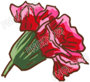 手绘康乃馨花朵素材