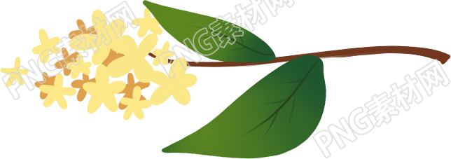桂花枝春季素材