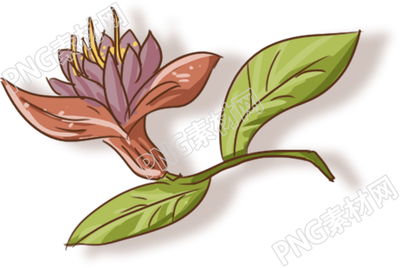 美丽的花素材