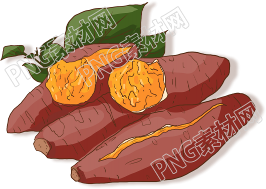 红薯素材