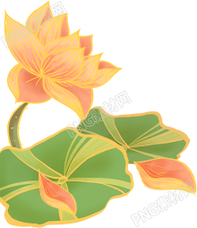 金边荷花素材