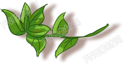 薄荷叶植物素材