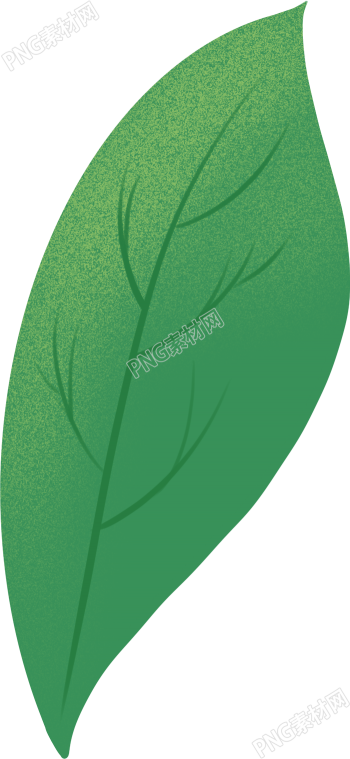 单片叶子植物素材