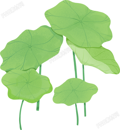 夏季手绘小清新荷叶