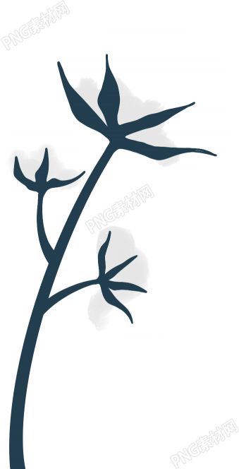 棉花素材