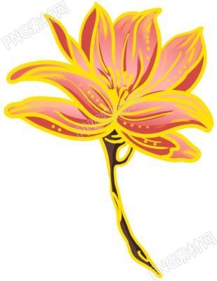 花朵鲜花素材