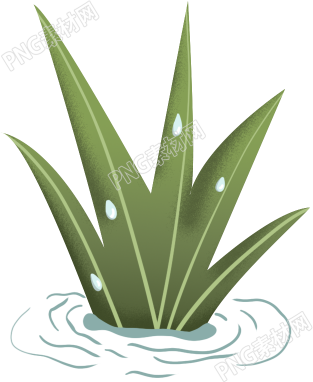水上绿植素材