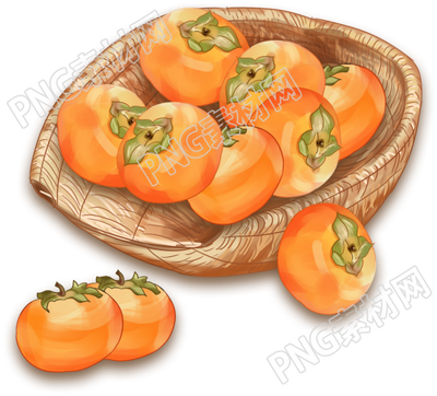 柿子采摘
