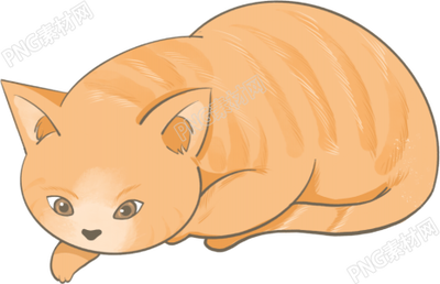 动物猫咪素材
