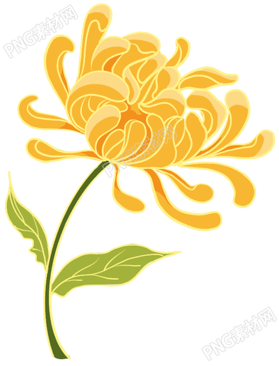 黄色菊花装饰素材