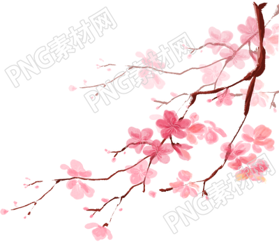 手绘清新枝干花朵