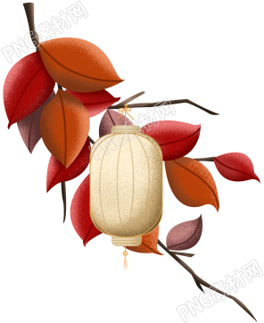 树枝/灯笼节日装饰