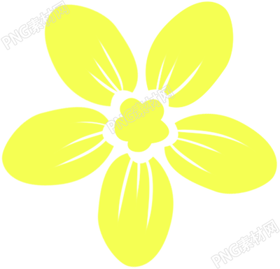 黄色花朵花瓣
