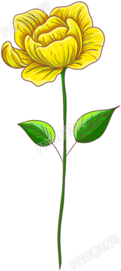 黄色立体花朵素材