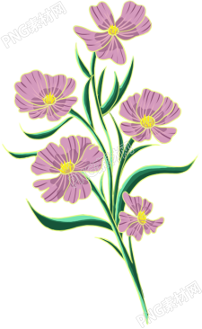 紫色花朵素材