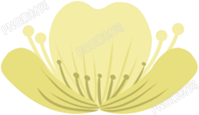 黄色花朵