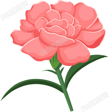 粉色鲜花花朵素材