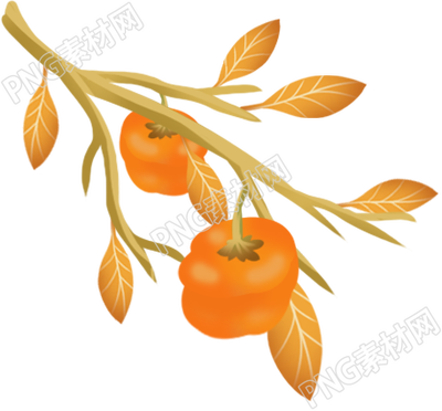柿子