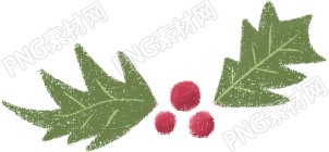 圣诞节元素