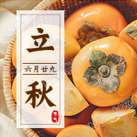 立秋节气柿子微信公众号次图