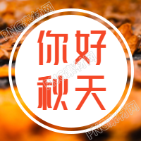 秋天实景美图展示