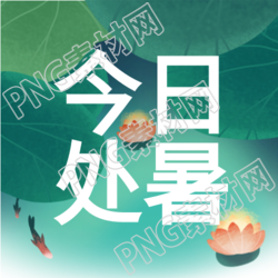 夏日荷叶下的清凉