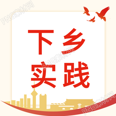 乡村振兴鸽子城市的未来