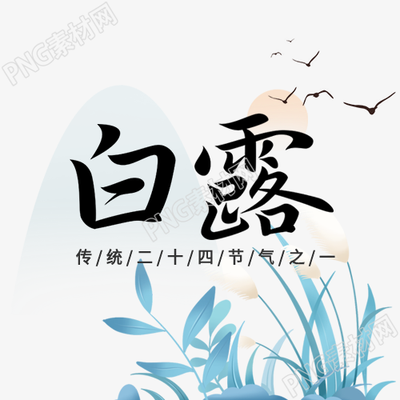 白露节气下的大雁山水芦苇封面图