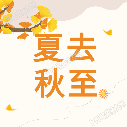 秋天的美丽银杏树的曲线舞动