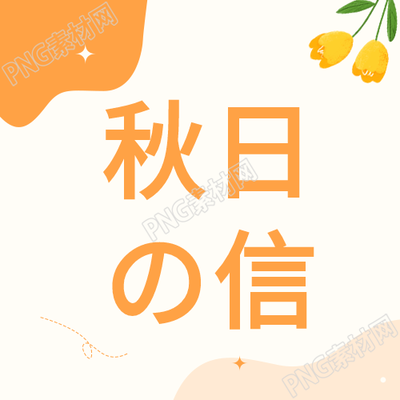 秋日的郁金香花朵营造秋季封面图